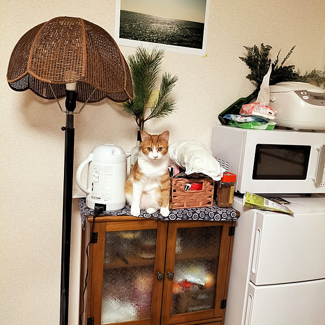 unkoさんの実例写真