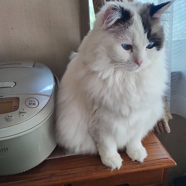 sawa0127さんの部屋
