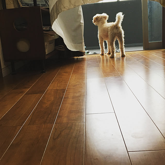coco.さんの実例写真