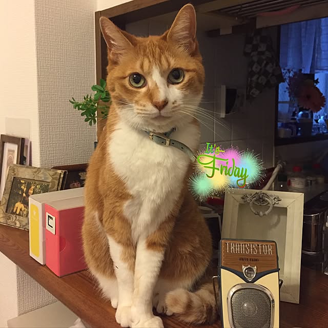 lavie0125さんの実例写真