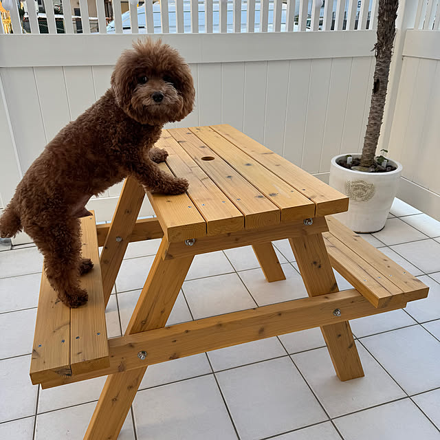 michimichiさんの実例写真