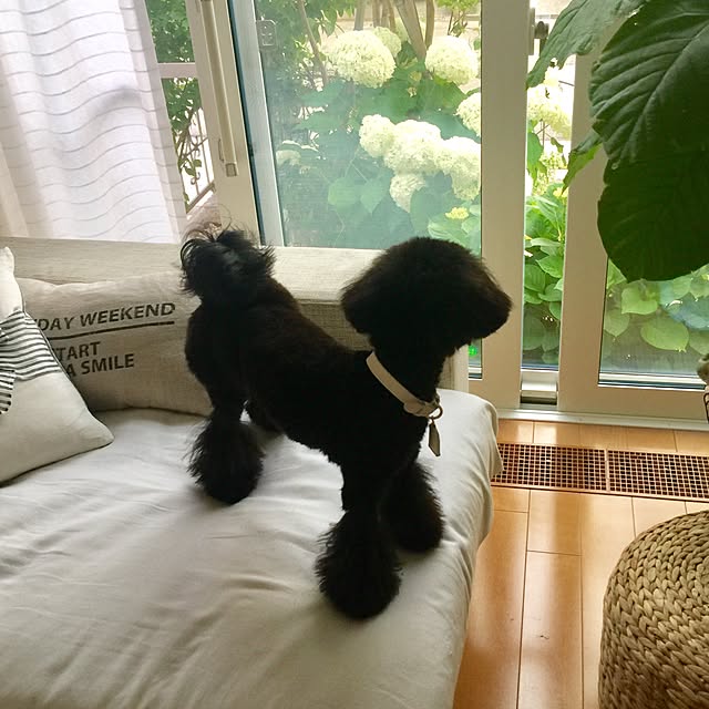 UNI.mamaさんの実例写真