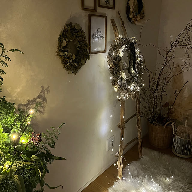 TCFJさんの部屋