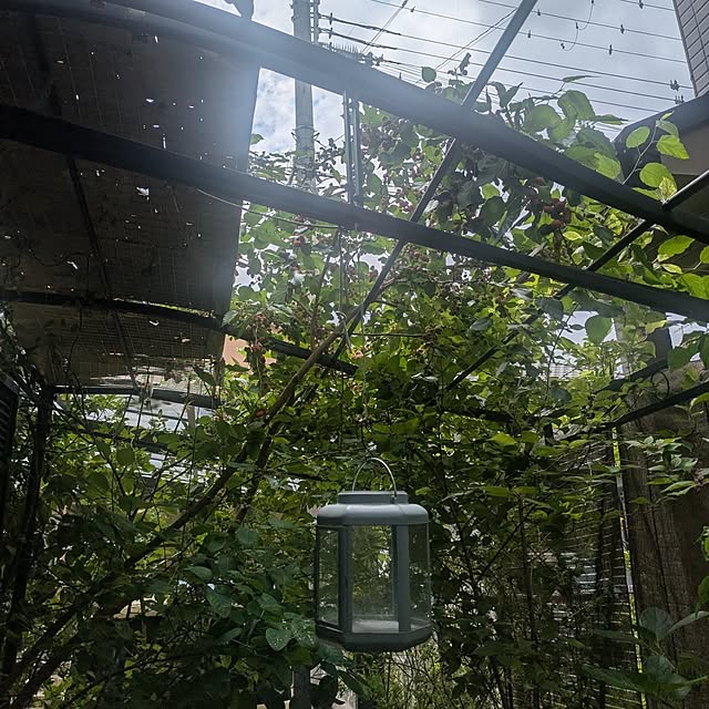 mori_6_12さんの部屋