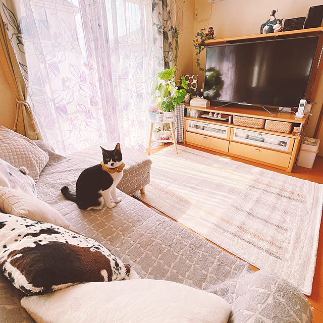 moolさんの部屋