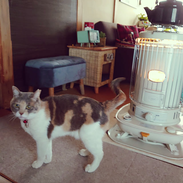 fukuさんの実例写真