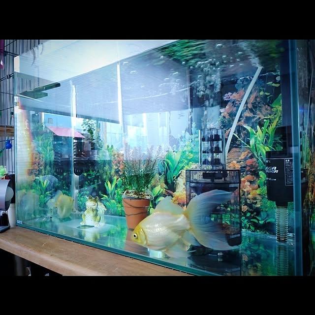 mntcさんの部屋