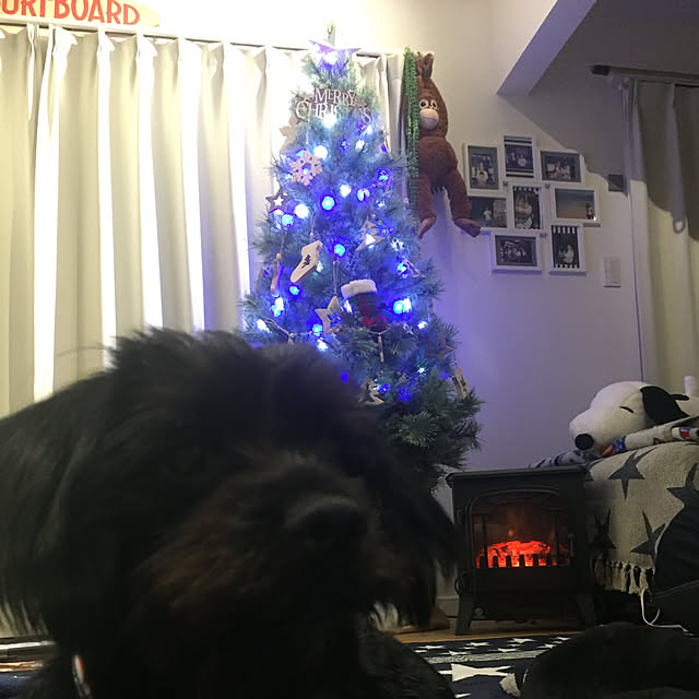 marinkoさんの実例写真