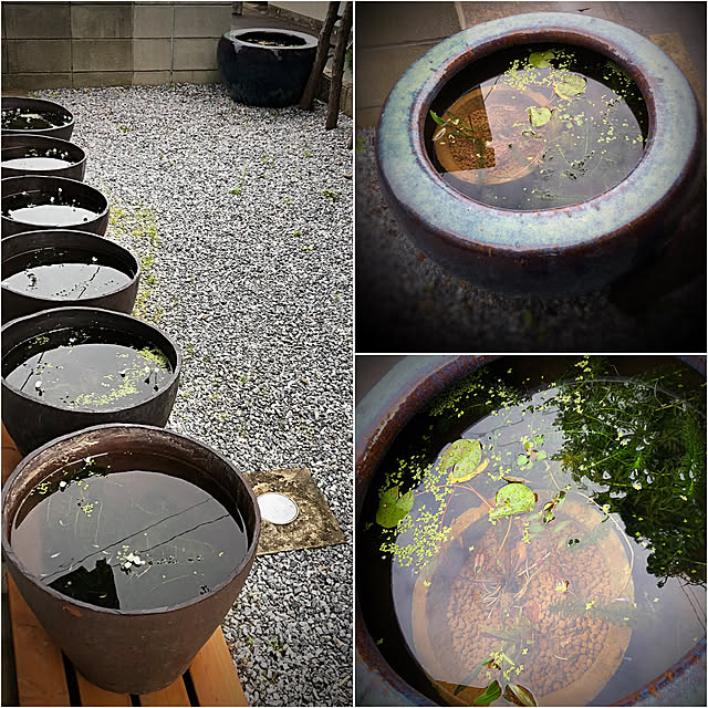 haruchanさんの実例写真