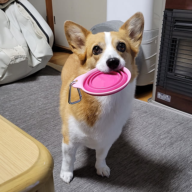 akimameさんの実例写真