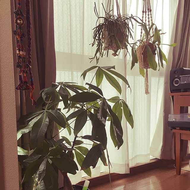 gurebekoさんの実例写真