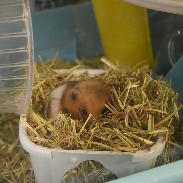 ruru357さんの実例写真