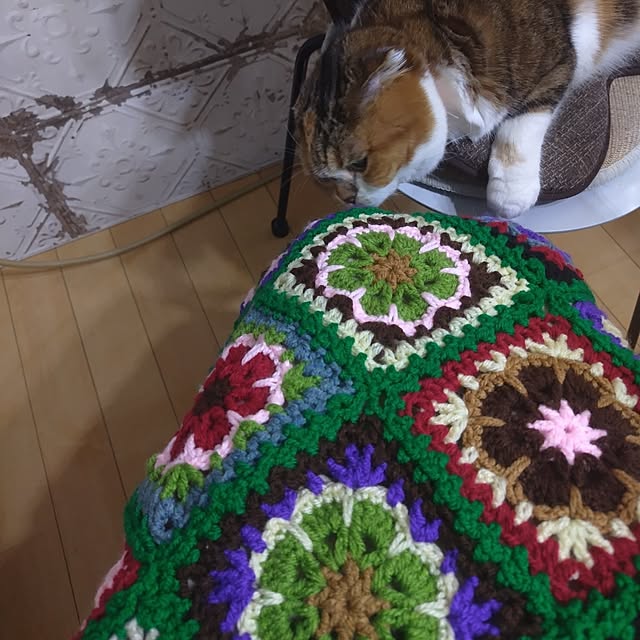 hiro3さんの部屋