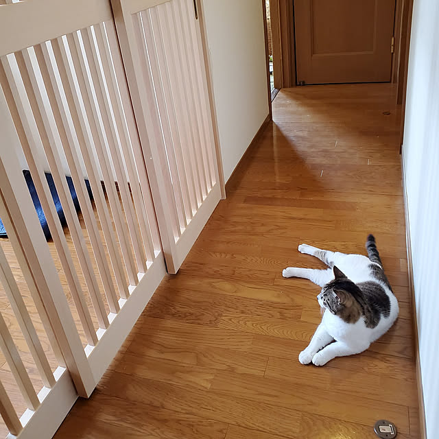 hiroさんの実例写真