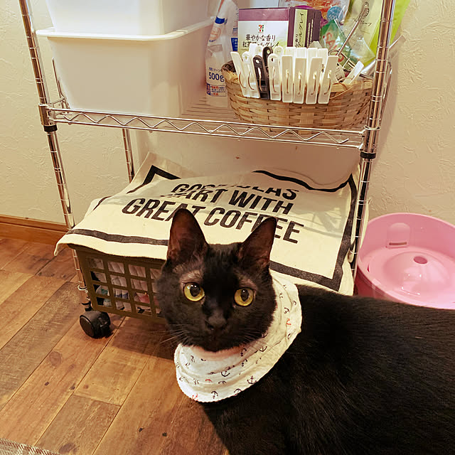 kuromiさんの実例写真