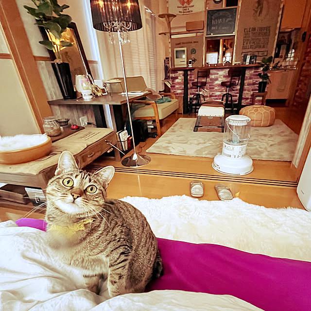 Mさんの実例写真