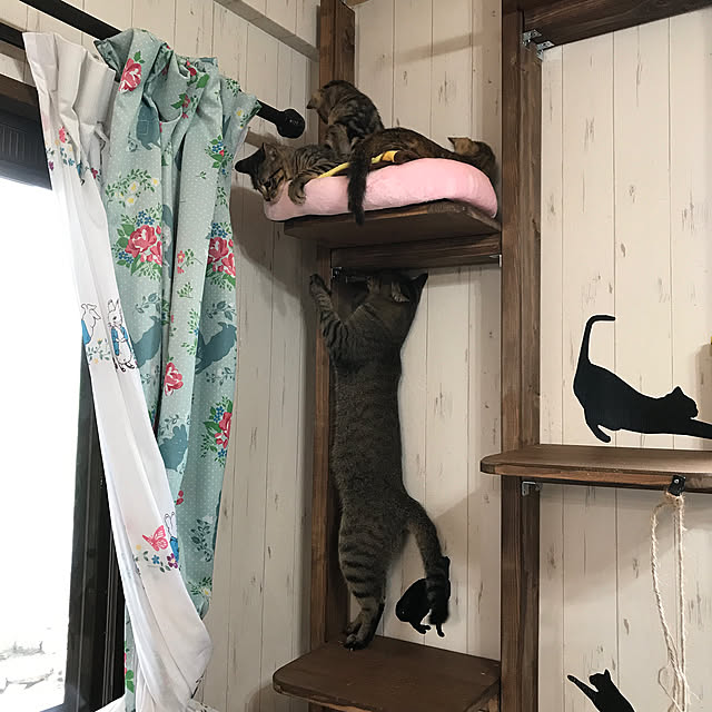 pepeさんの実例写真