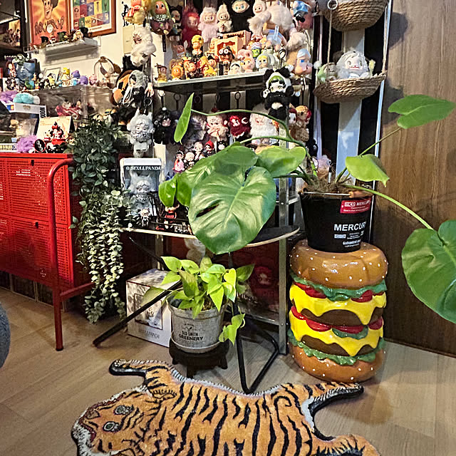 Anonさんの実例写真