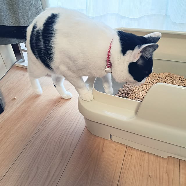 kiyohima229さんの部屋