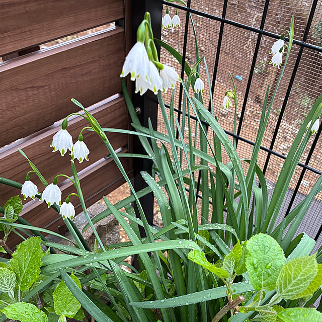 romiromiさんの部屋