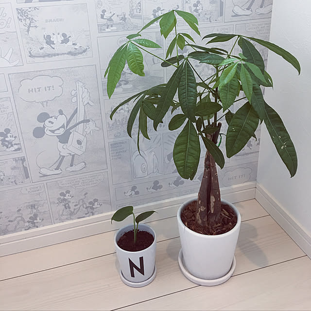 na0_homeさんの実例写真