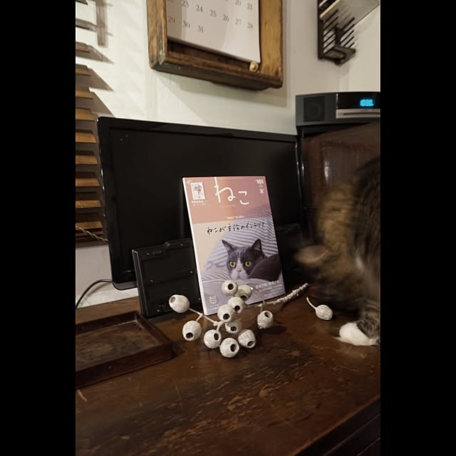 jnkaiさんの実例写真