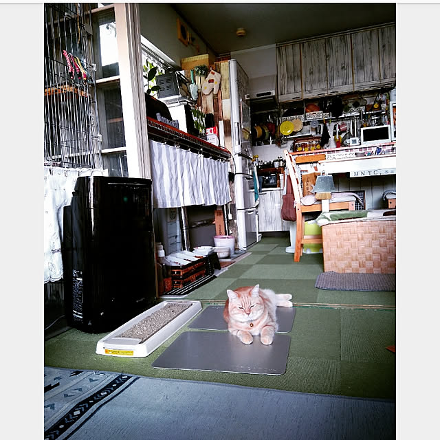 mntcさんの実例写真