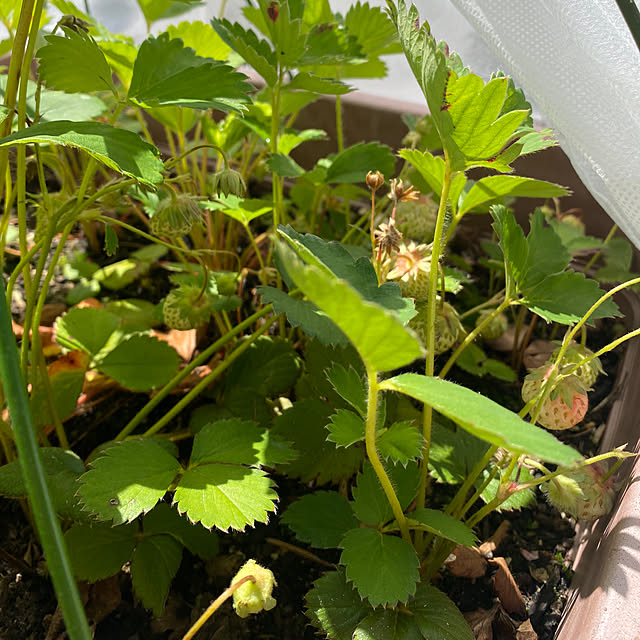 reahさんの部屋