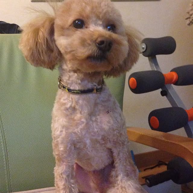 mintさんの実例写真