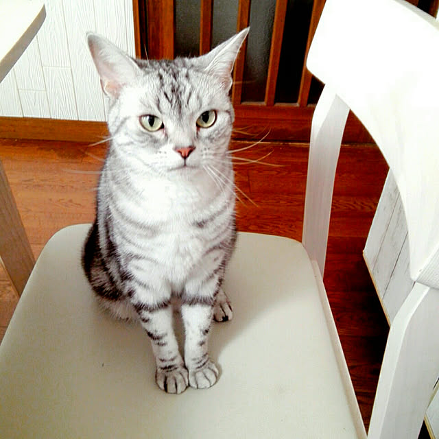kumingさんの実例写真