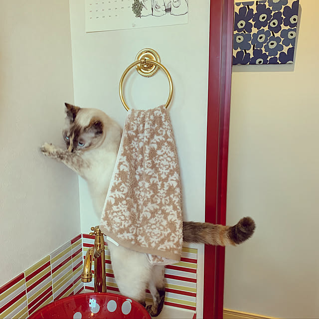 miyaさんの実例写真
