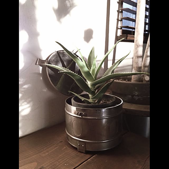 jnkaiさんの実例写真
