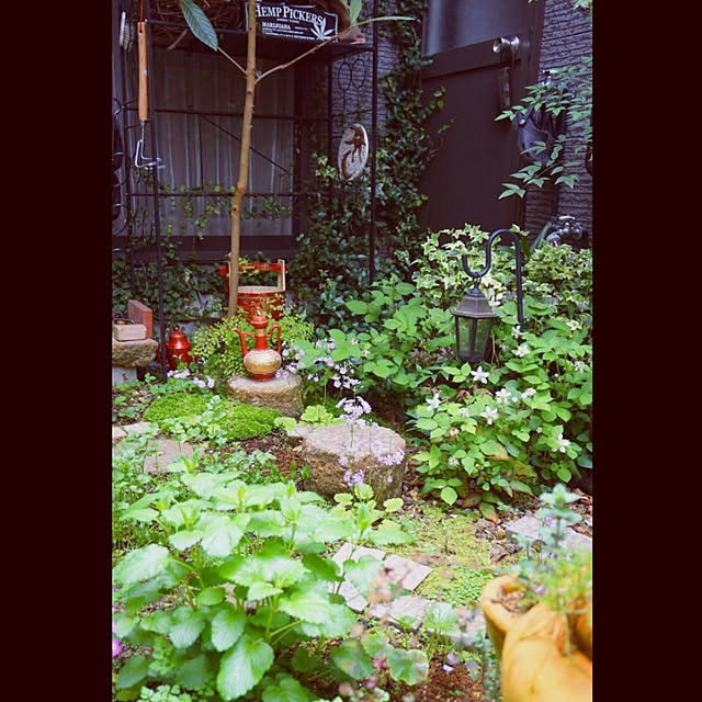 aromameさんの実例写真