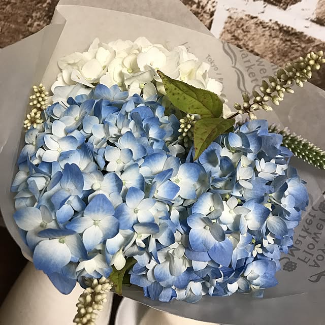 misaさんの実例写真