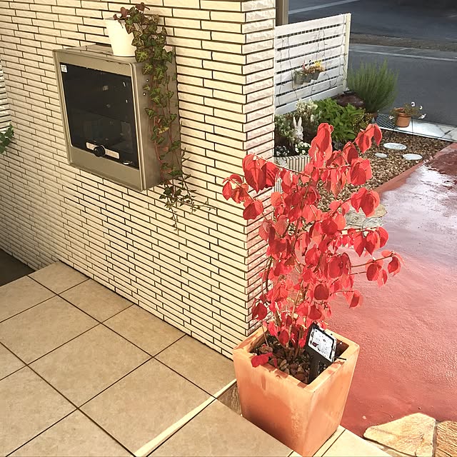 hanakoさんの実例写真