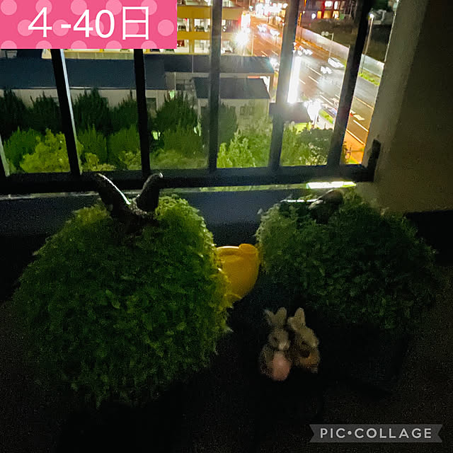 aureaさんの実例写真