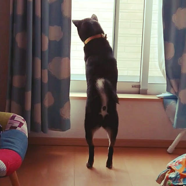 xxxakyxxxさんの実例写真