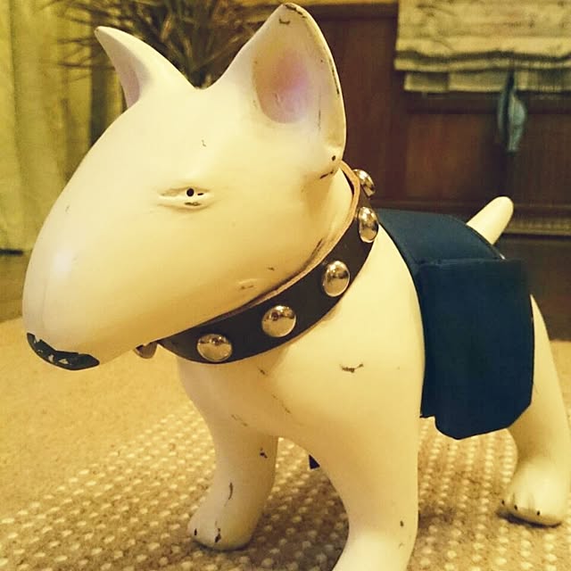 kimuneisanさんの実例写真