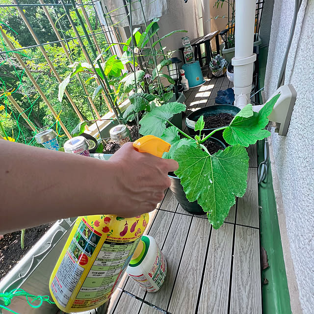 sumoanzuさんの部屋