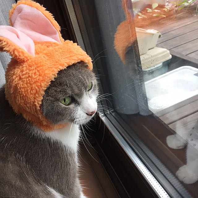 natsumama6566さんの実例写真