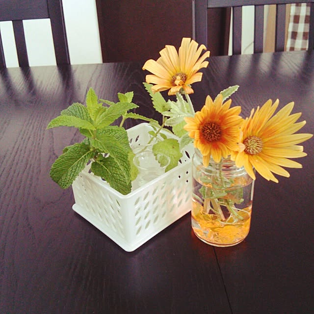 机/植物のインテリア実例 - 2014-06-02 15:38:58