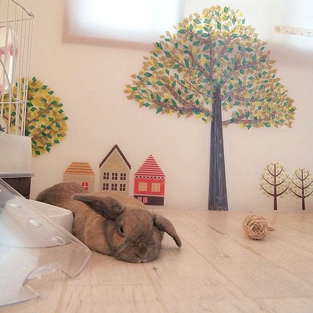 chocoさんの実例写真