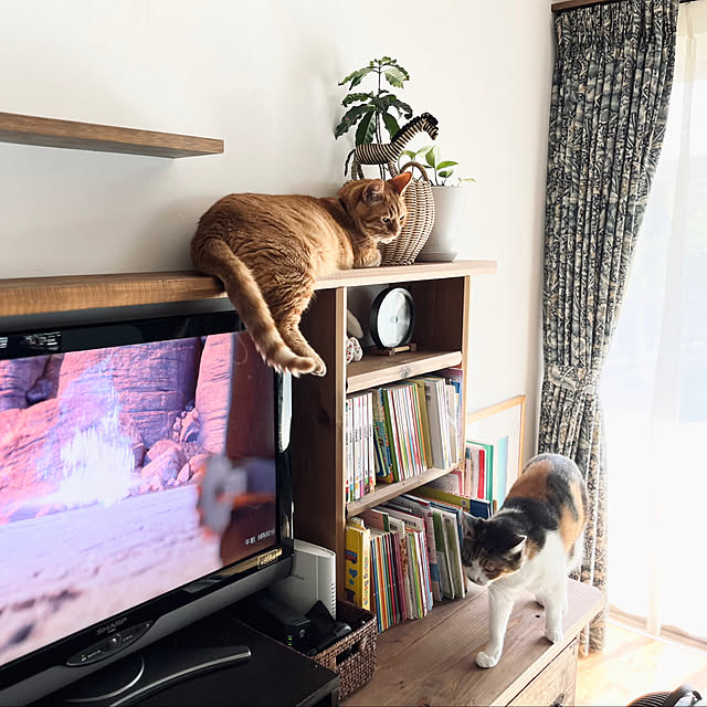 Maruさんの実例写真