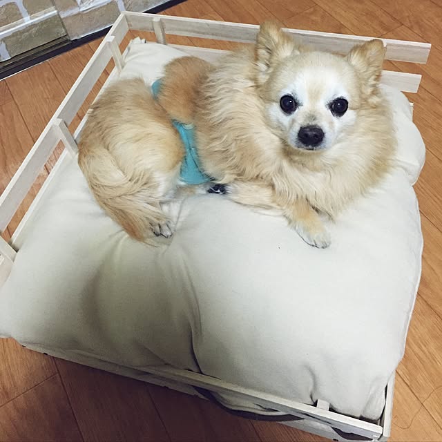 Honeyさんの実例写真