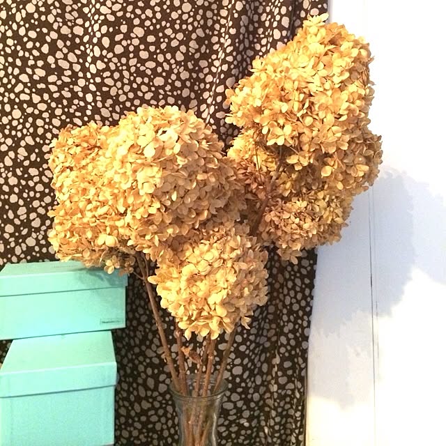 Sayakaさんの実例写真