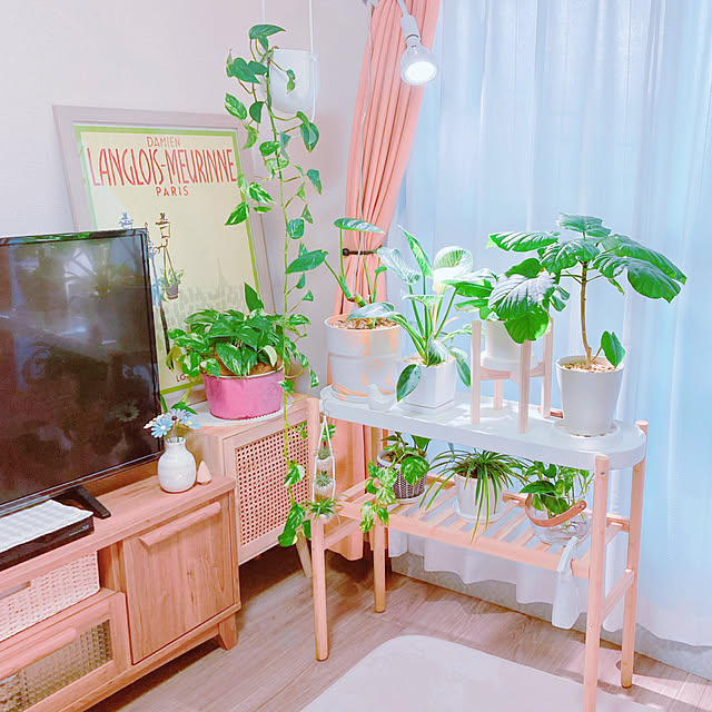 yuyuさんの実例写真