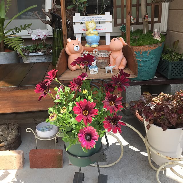 takakoさんの実例写真
