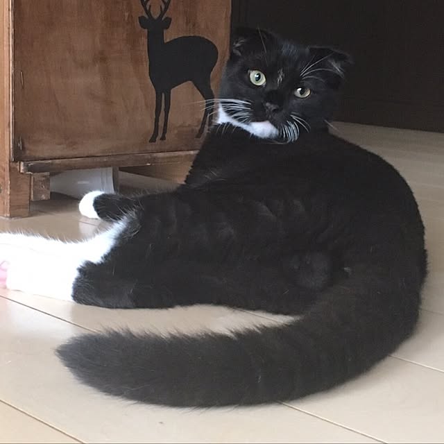 mikan0607さんの実例写真