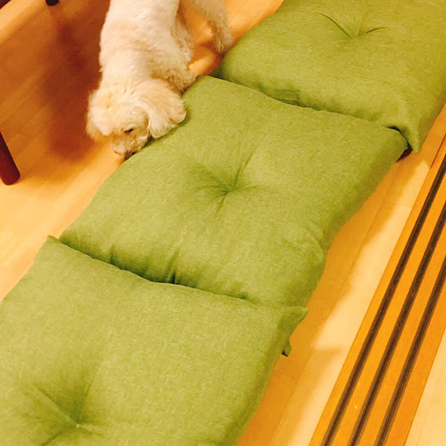 junjunさんの実例写真