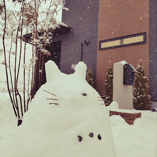Maikoさんの実例写真